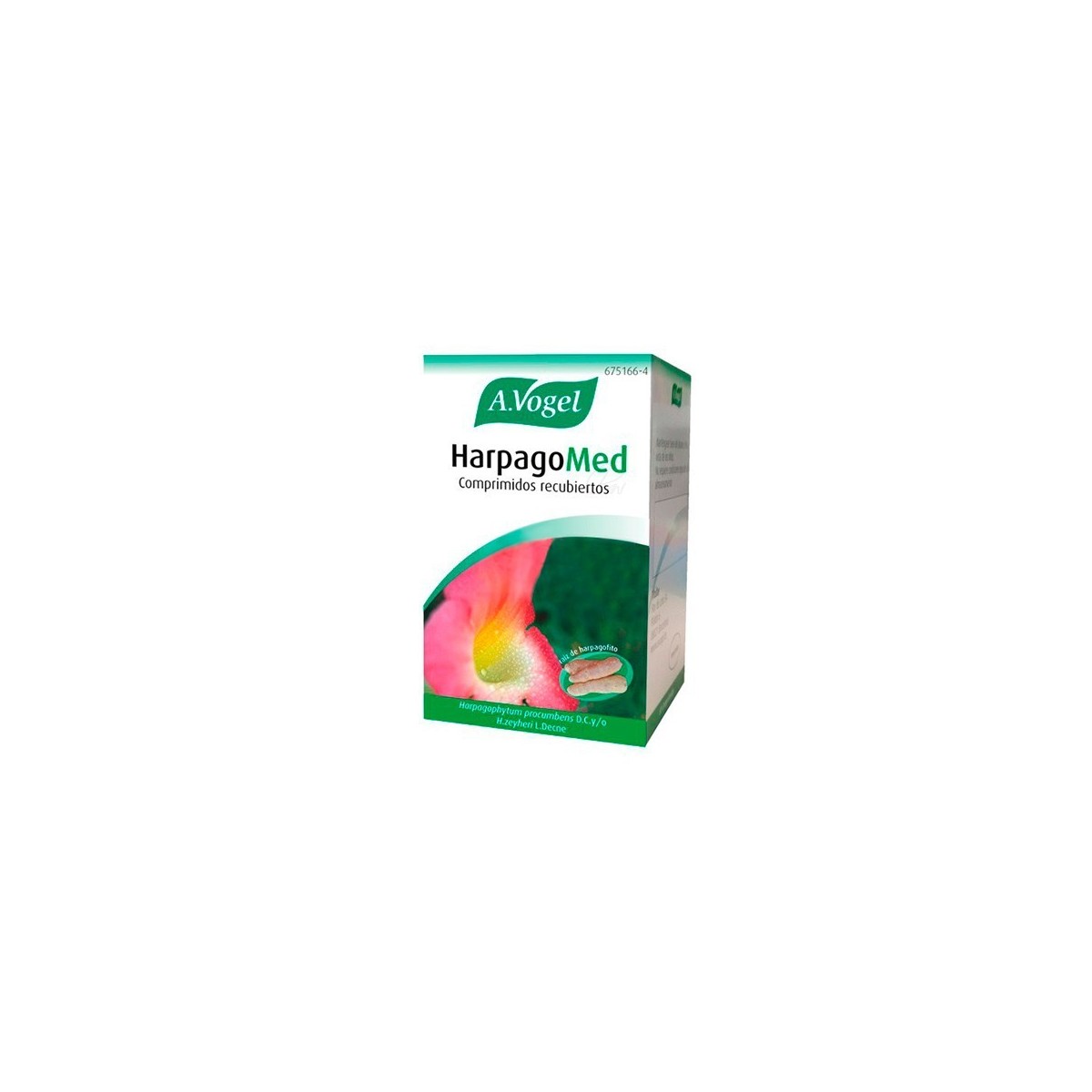 HARPAGOMED COMPRIMIDOS RECUBIERTOS, 60 comprimidos